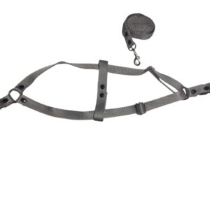 Arnés clásico con correa