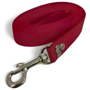 Correa Para Perro De 1.5 Metros