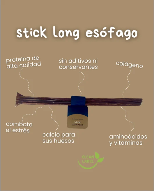 Stick long Esófago (25 cm) - Image 2